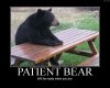 aimg.photobucket.com_albums_v327_crizzo_Patient_bear.jpg